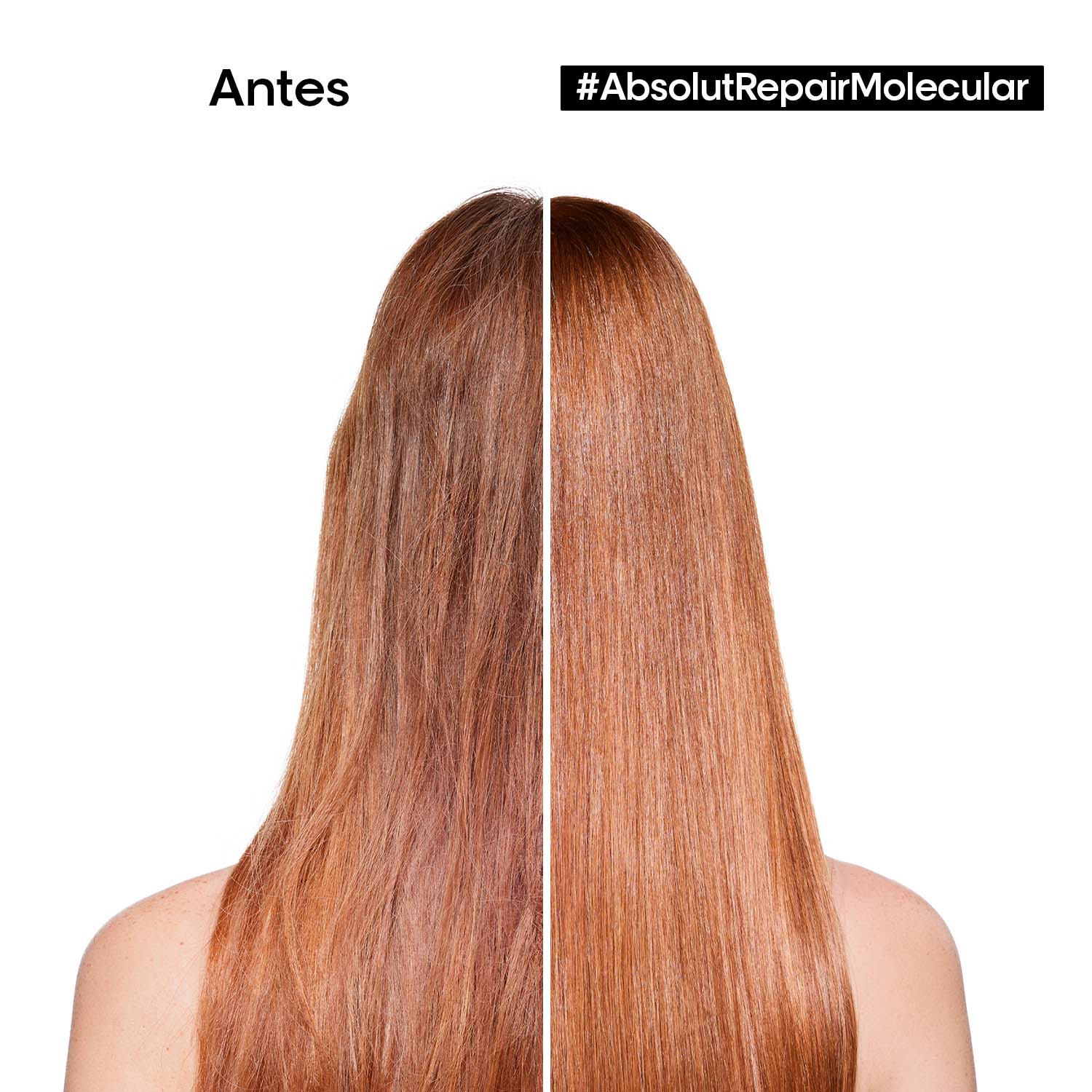 SHAMPOO ABSOLUT REPAIR MOLECULAR (SHAMPOO REPARADOR LIBRE DE SULFATOS)